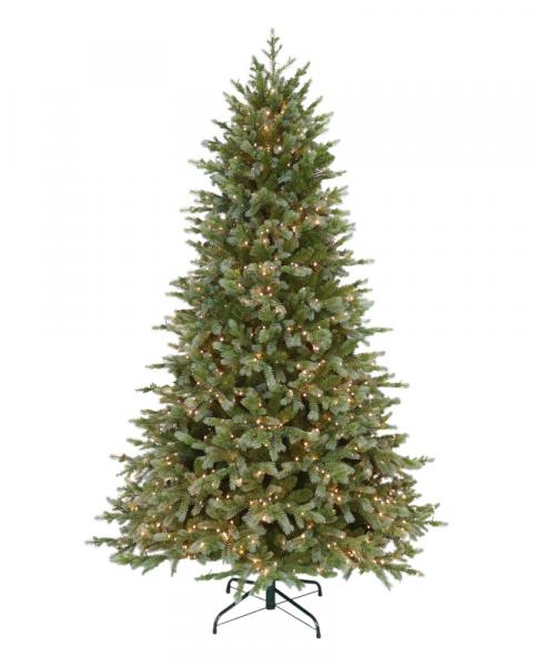 7.5' Concolor Fir With 1100 Color Changing Starry LED Lights