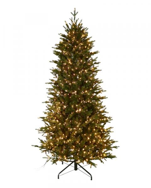 6.5' Fraser Supreme Fir With 1000 Color Changing Starry LED Lights