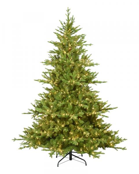 7.5' Norway Spruce With 1200 Color Changing Starry LED Lights