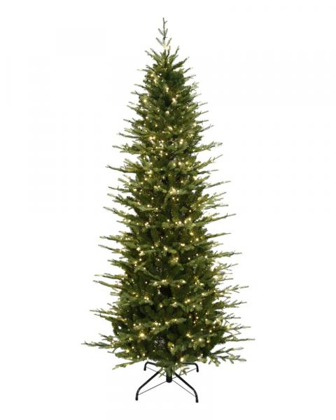 7.5' Kensington Slim Fir With 850 Color Changing Starry LED Lights