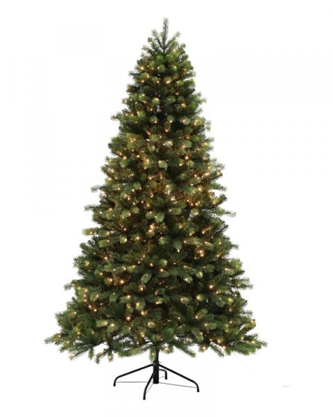 6.5' Laguardia Fir With 1000 Color Changing LED Lights