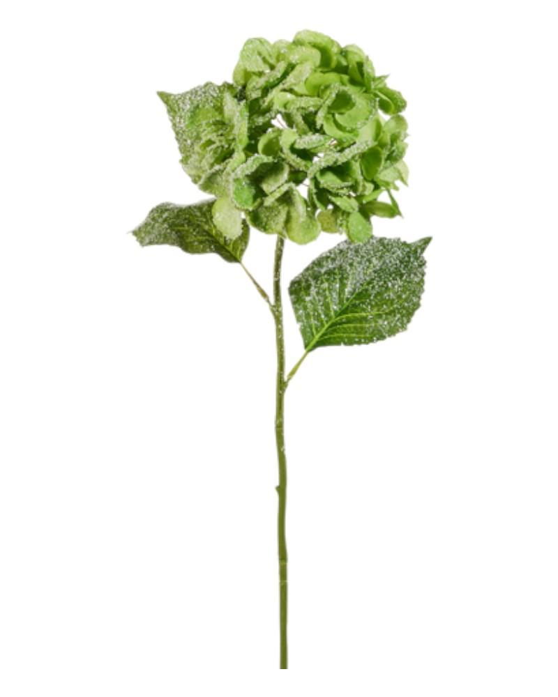 Iced Hydrangea Stem 25" Iced