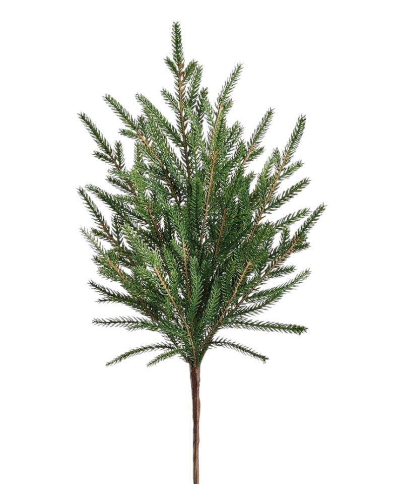 Soft Cypress Pick 18"