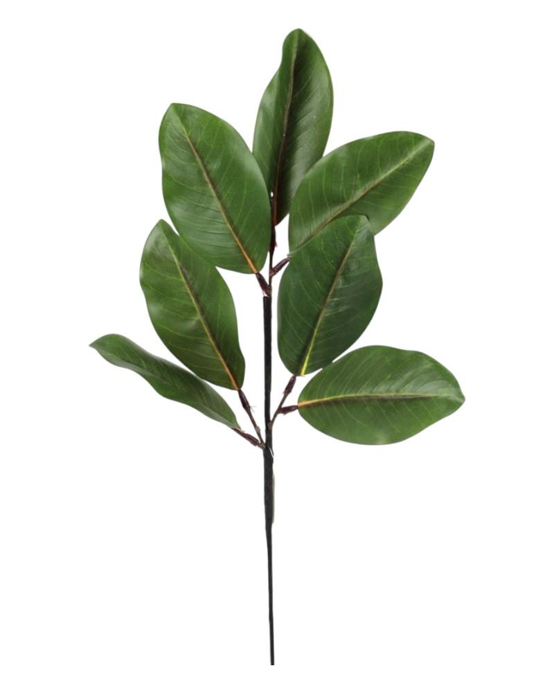 Magnolia Leaf Spray 24" Green
