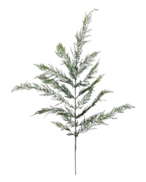 Cedar Spray 40" Green
