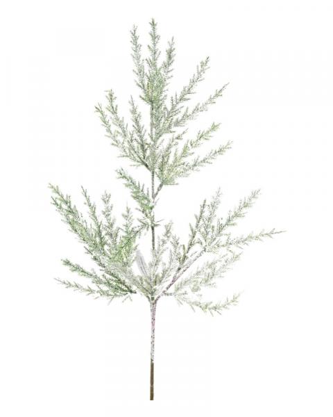 Juniper Frosted 20"