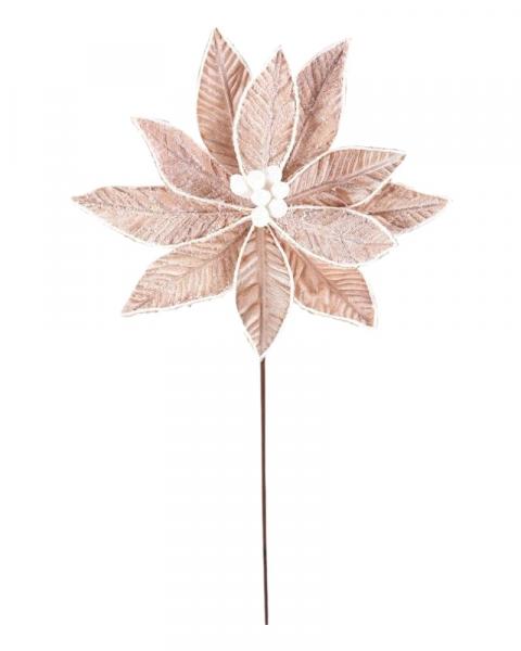Frosted Poinsettia Stem 22" Natural