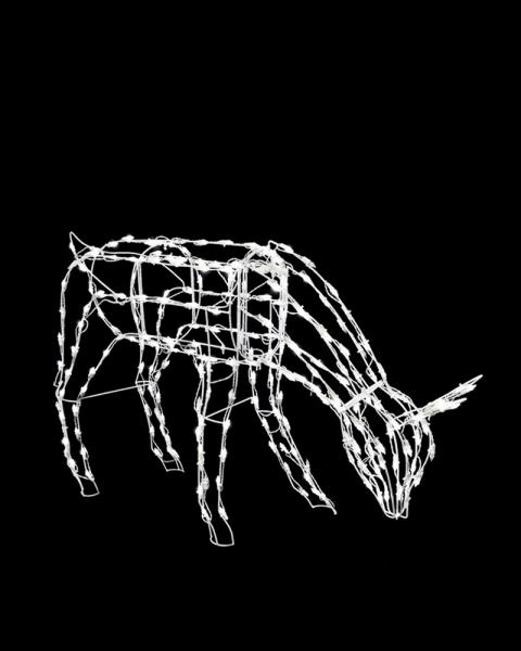 Elegant Doe 31" With White LED Lights