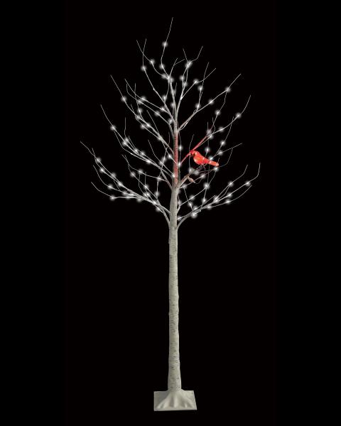 Birch Tree With Cardinal 6' With White LED Lights
