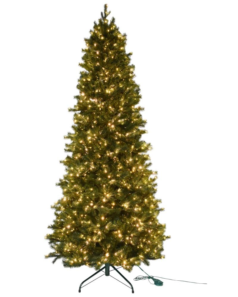 9' Norfolk Slim Fir With 1700 Color Changing Starry LED Lights