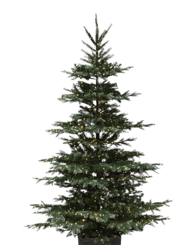 7.5' Gore Mountain Fir Potted With 2000 Color Changing LED Lights