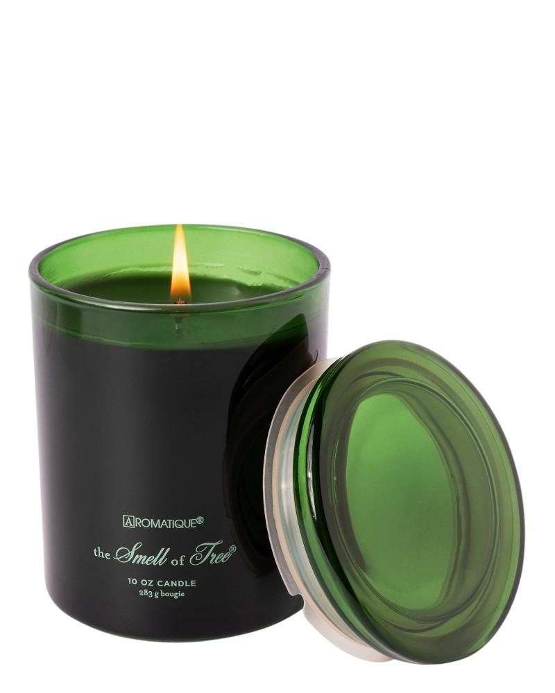 Smell of Tree Foundry Candle 10oz