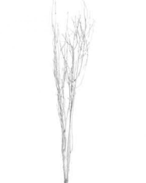 Jay Branches White Glitter