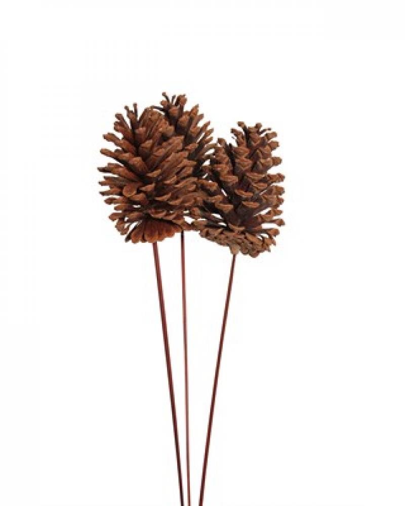 Pine Cones Large Natural 3 Pack