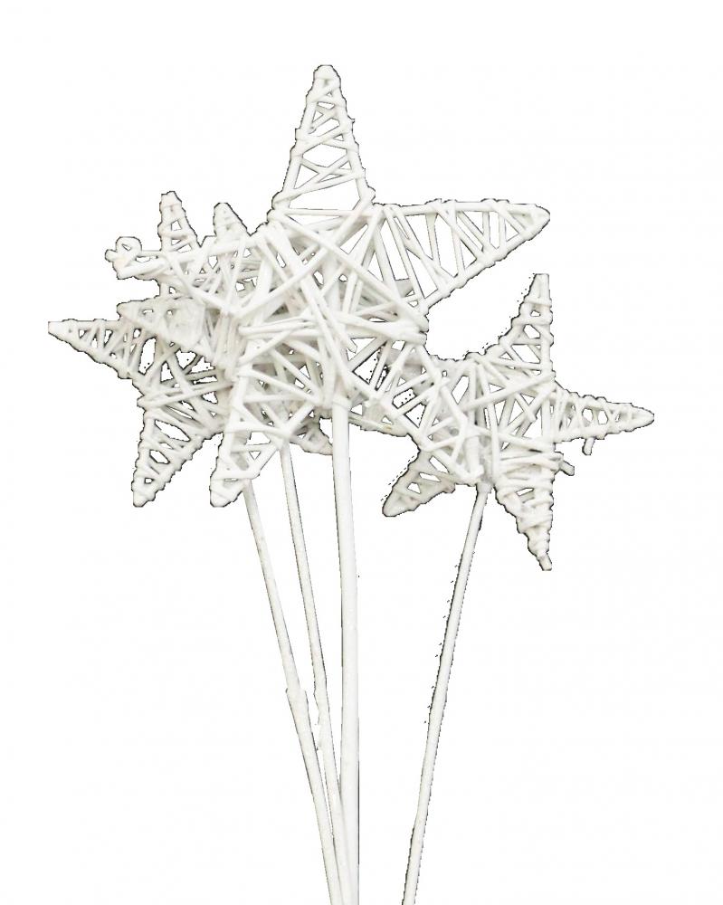 Lata Stars Mixed Pack White