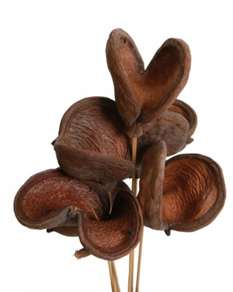 Badam Natural 6 Pack