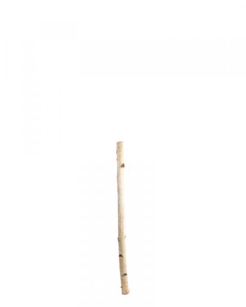Birch Pole 3'