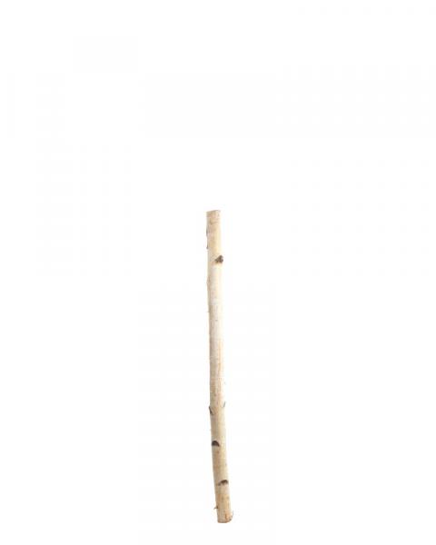 Birch Pole 4'
