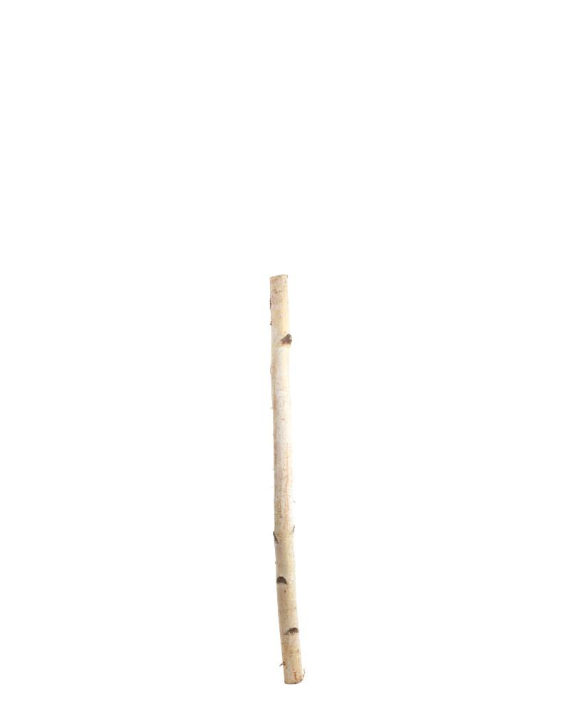 Birch Pole 4'