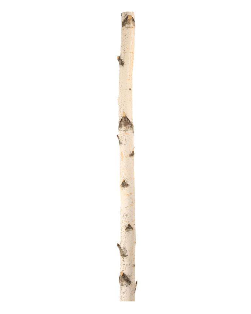 Birch Pole 8'