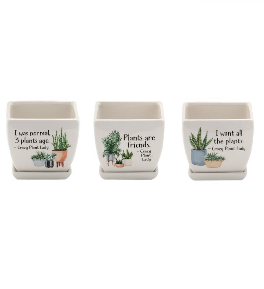 Witty Square Planter 4" Assorted