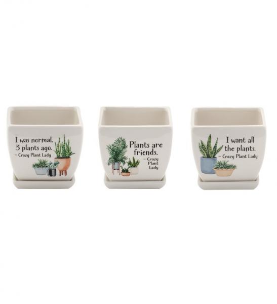 Witty Square Planter 4" Assorted