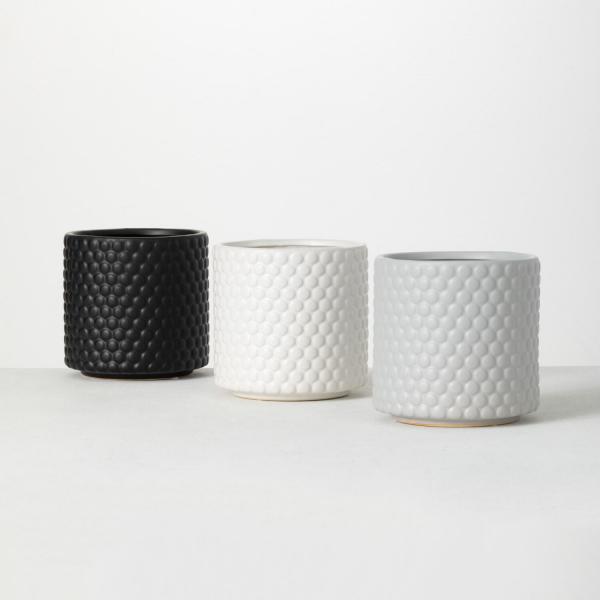 Dot Textured Pot 6" Assorted