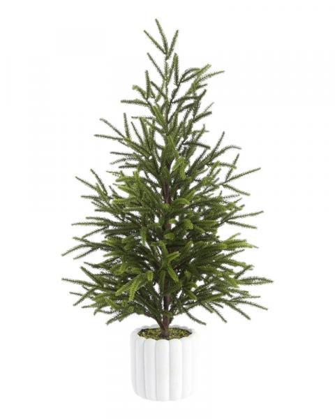 Cypress Tree In Pot 27"