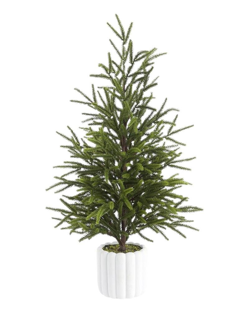 Cypress Tree In Pot 27"