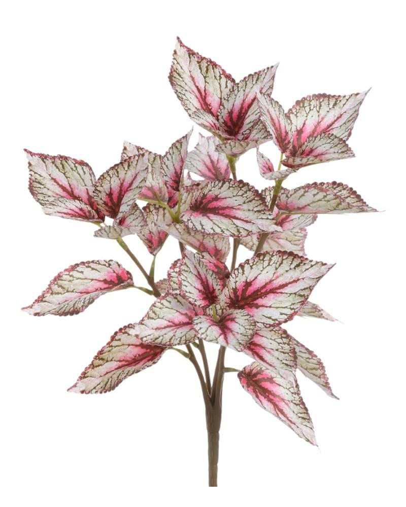 Coleus Bush 15" Violet/green