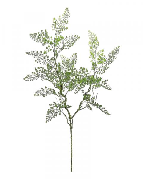 Maidenhair Fern Spray 33" Green