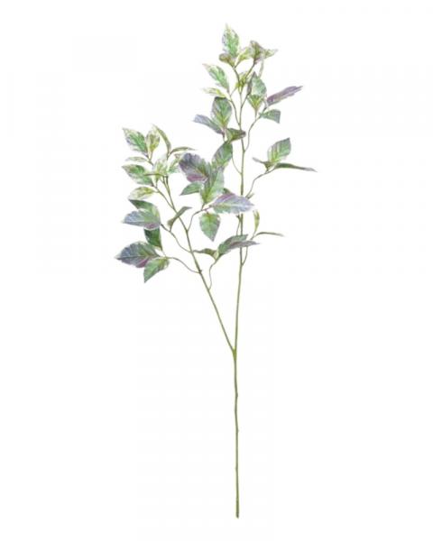 Capsicum Leaves Spray 31" Gn/pl