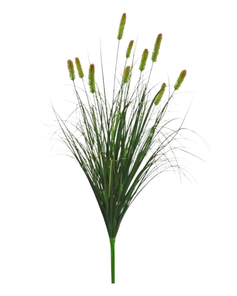 Foxtail Grass Spray 31" Moss Gn