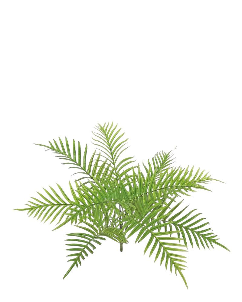 Areca Palm Bush 24" Green