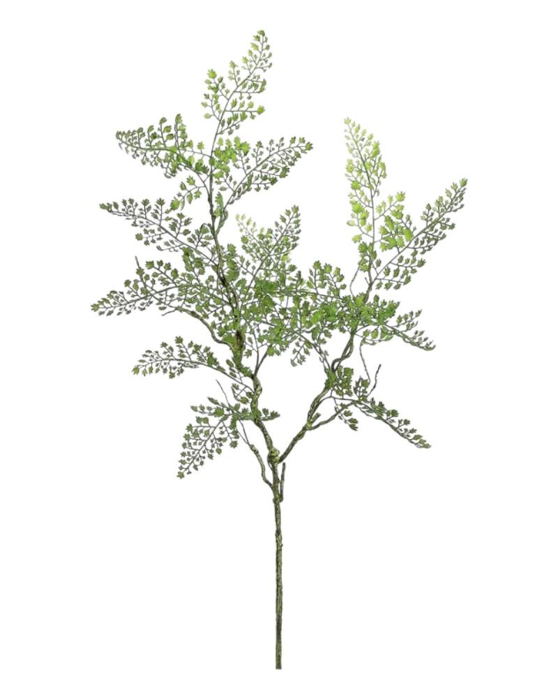 Maidenhair Fern Spray 33" Green
