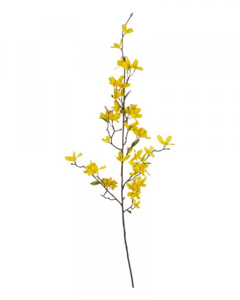 38" Forsythia Stem X4 Yellow
