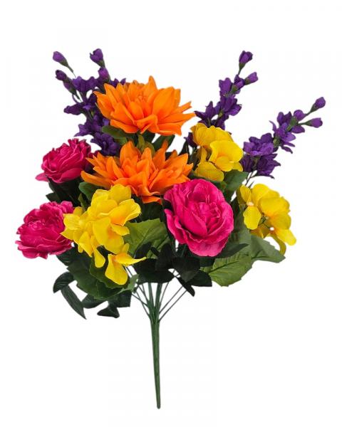 Dahlia/hyd/del Bush Spring Mel