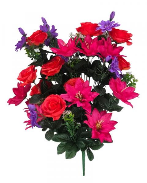 Lotus/rose/daisy Bush Spring Mel