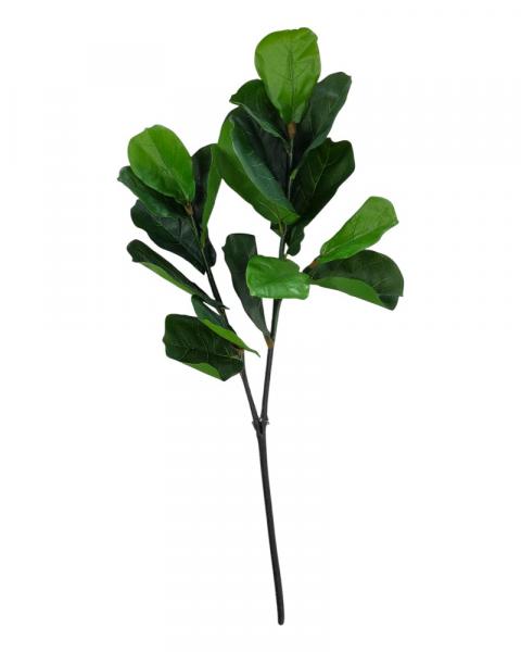 Ficus Lutea Stem 45"