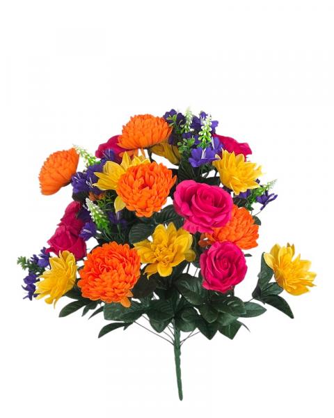 Dahlia/mum/rose Bush Spring Mel