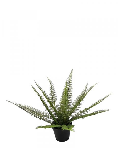 Potted Fern 15" Green