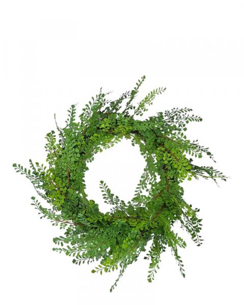Maidenhair Wreath 24" Pe Green