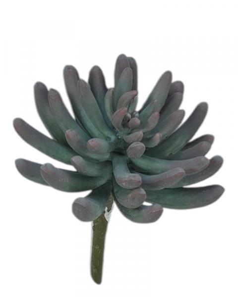 Plastic Succulent 7"