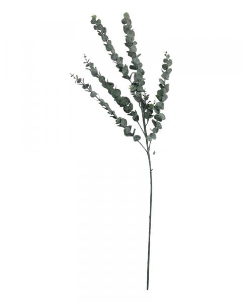 Eucalyptus Spray 35"