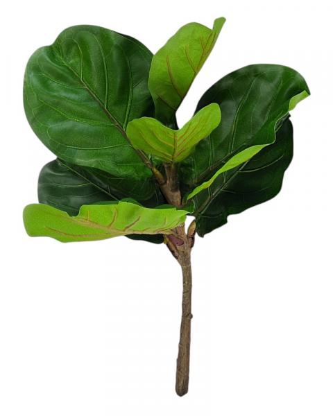 Fiddle Leaf Branch 25" Green