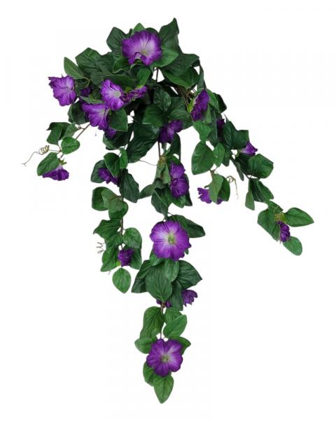 Petunia Hng Bush 33" Uv Purple