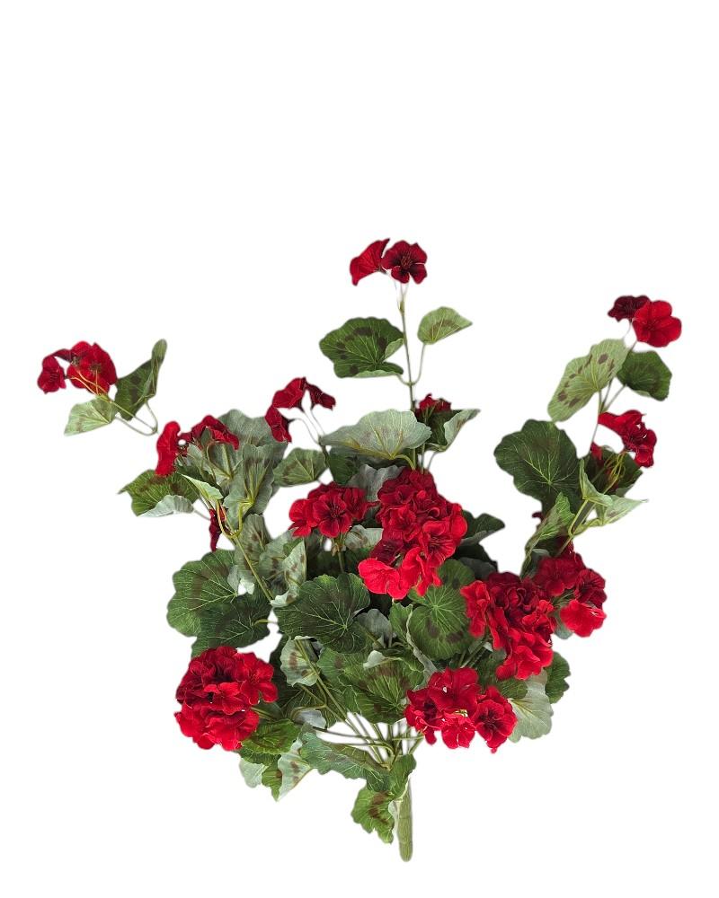 Geranium Hanging Bush 22" Red