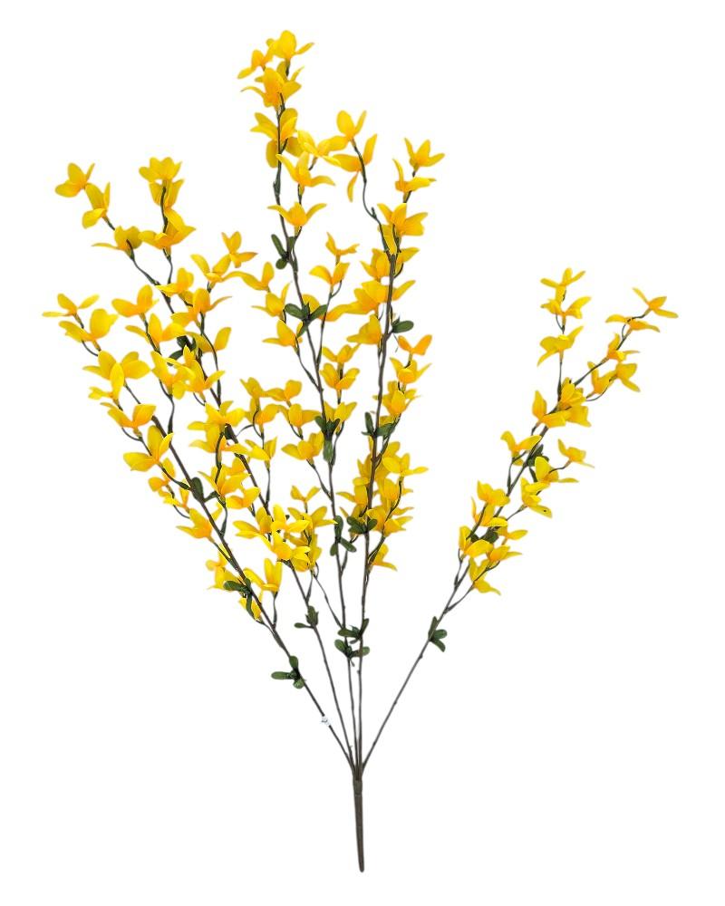 Forsythia Bush Yellow