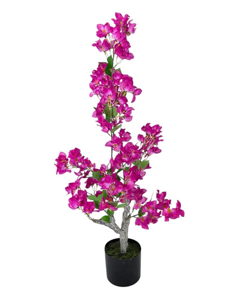 Bougainvillea Tree 38" Fuchsia