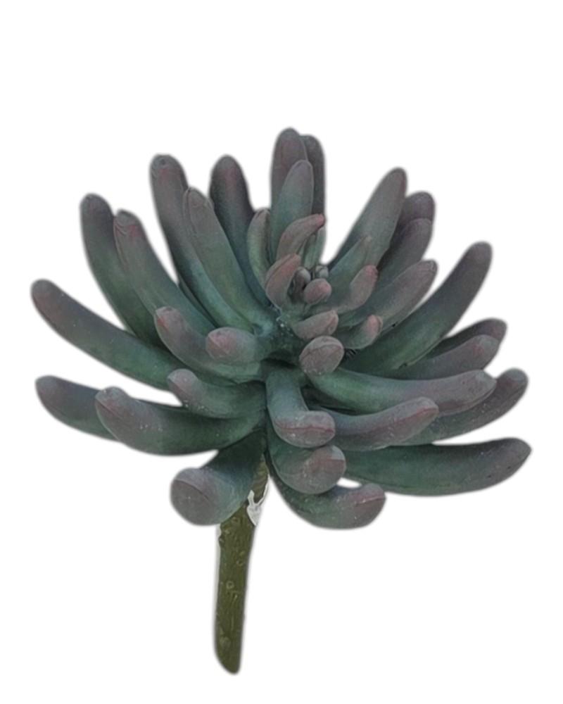 Plastic Succulent 7"